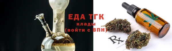 гашик Билибино