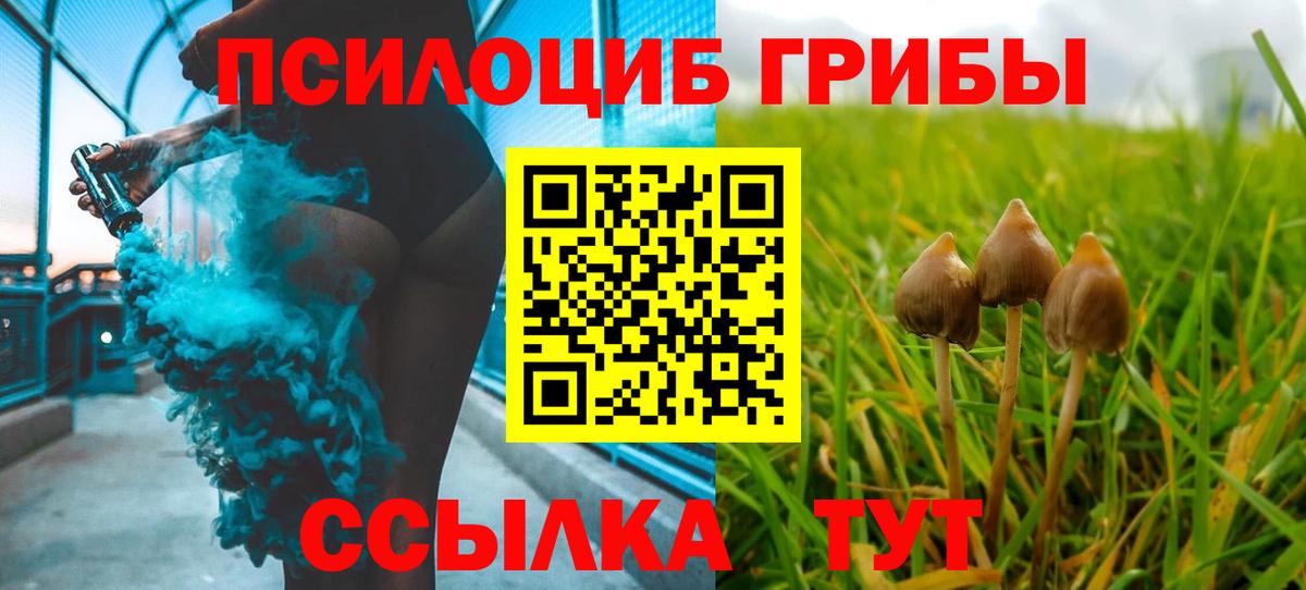 Галлюциногенные грибы GOLDEN TEACHER Братск