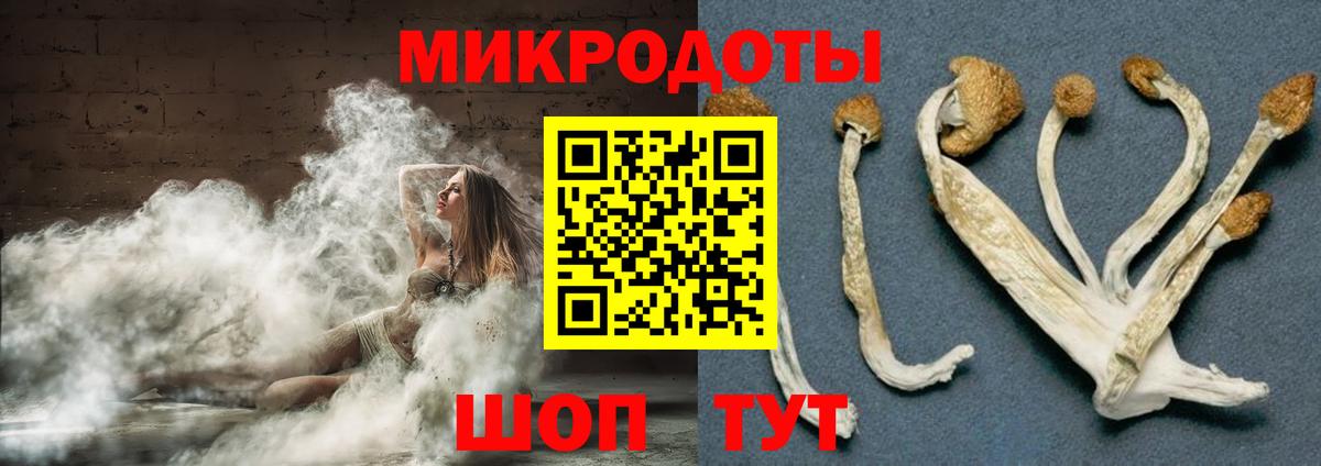 Братск  Галлюциногенные грибы мицелий  наркота  Вход с VPN 